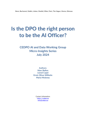 DPO 是担任 AI 官的合适人选吗？